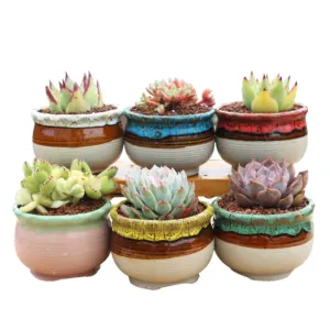4/5/6 Pots Set Ceramic Clay Pottery Pots | Succulent Flower Planter, Draining Hole (Style 05# 6 Pots Set)