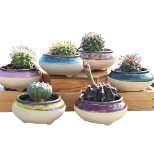 4/5/6 Pots Set Ceramic Clay Pottery Pots | Succulent Flower Planter, Draining Hole (Style 06# 6 Pots Set)