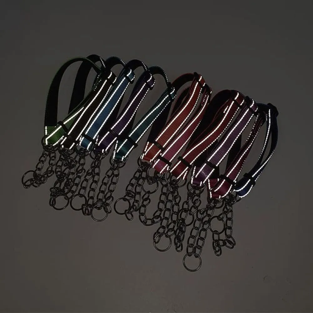 Adjustable Dog Collar with Stainless Steel Chain