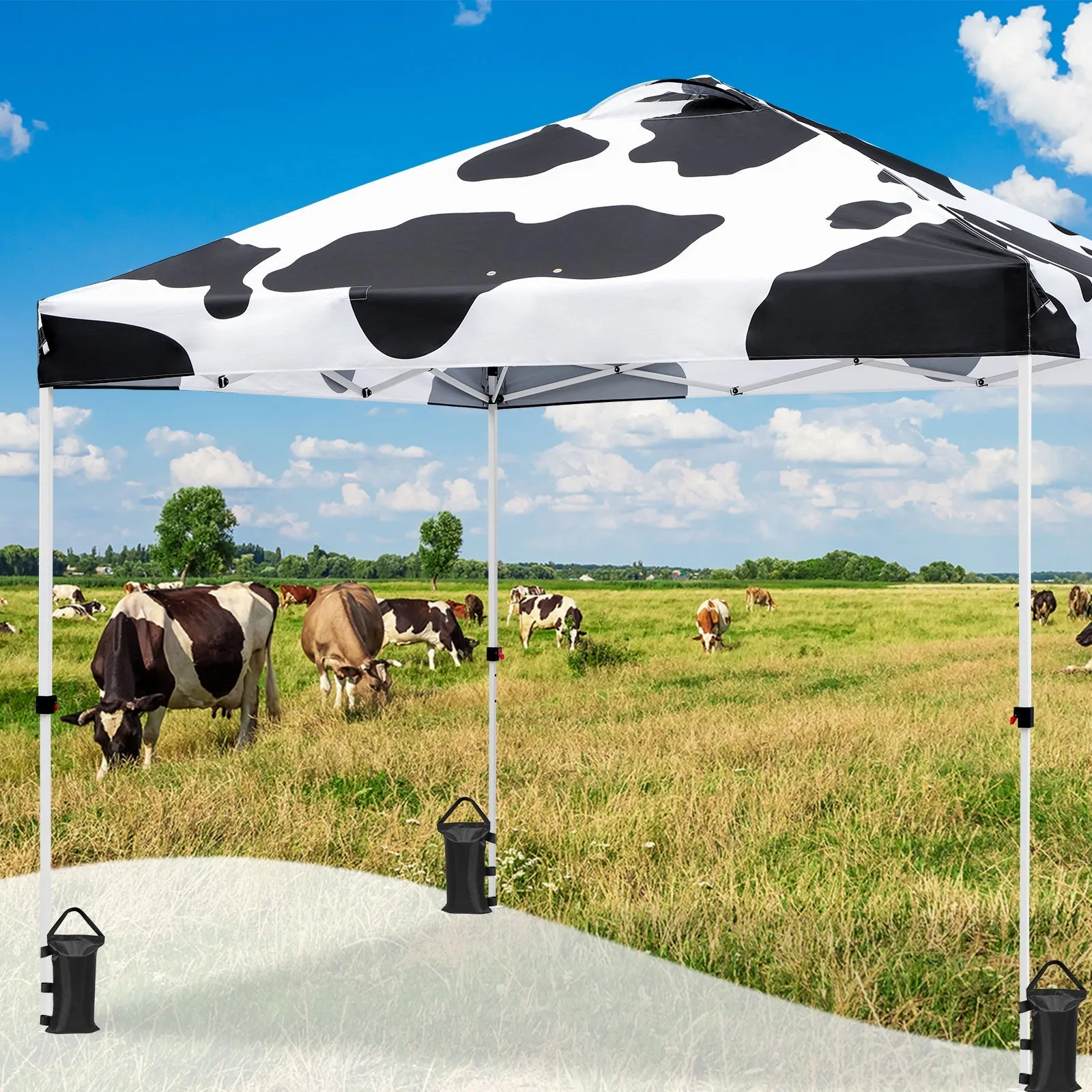 SHADE GRAPHiX Easy Setup 10x10 Pop Up Canopy Tent with Digital Printed Cow Print Top